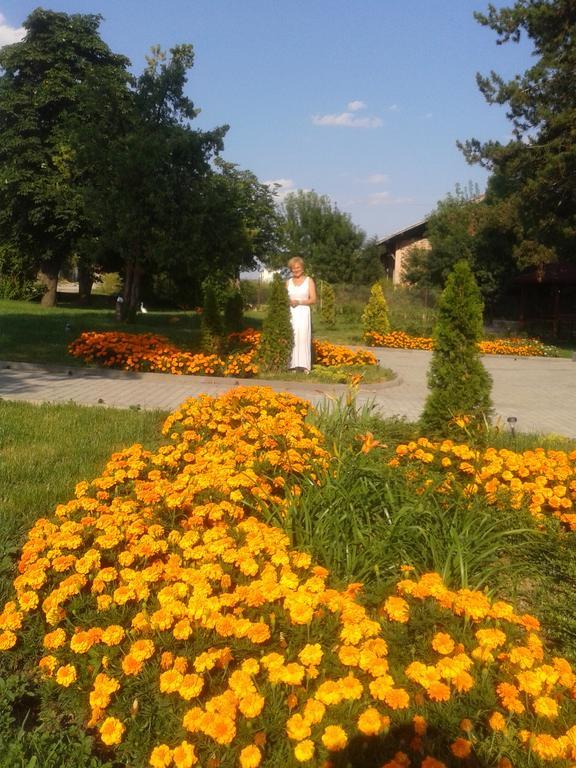 Guesthouse Gostilitsa Экстерьер фото